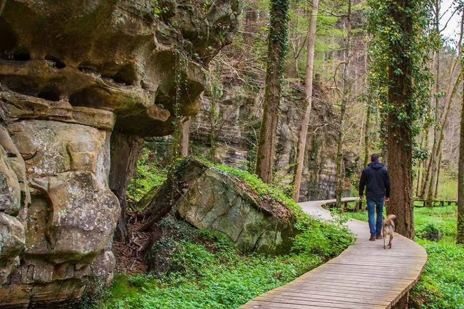 Man walking a dog along a wooden path through a forested gorge in Luxembourg