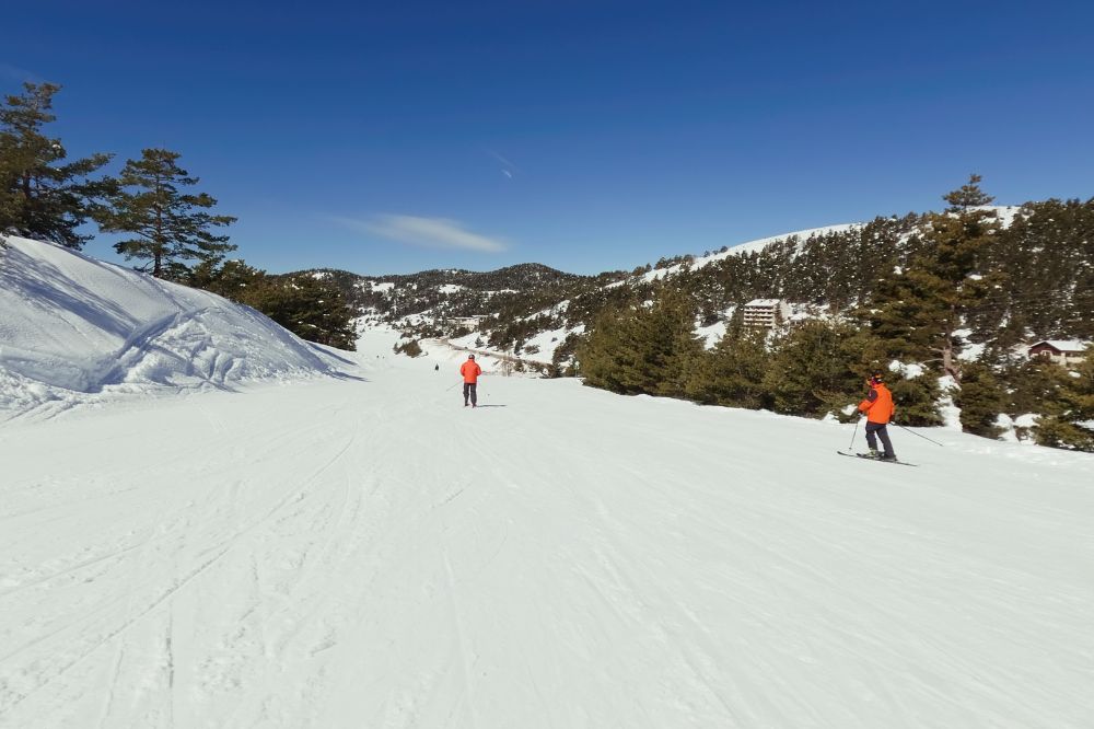 Two skiers in bright jackets gliding down a wide, sunny mountain slope surrounded by snow-covered trees.