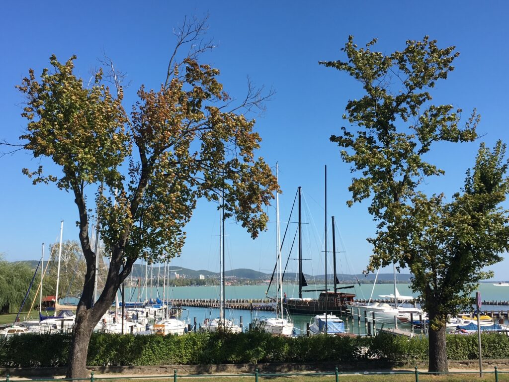 Sailboats in a marina on Lake Balaton in Hungary, with trees and hills in the background under a clear blue sky