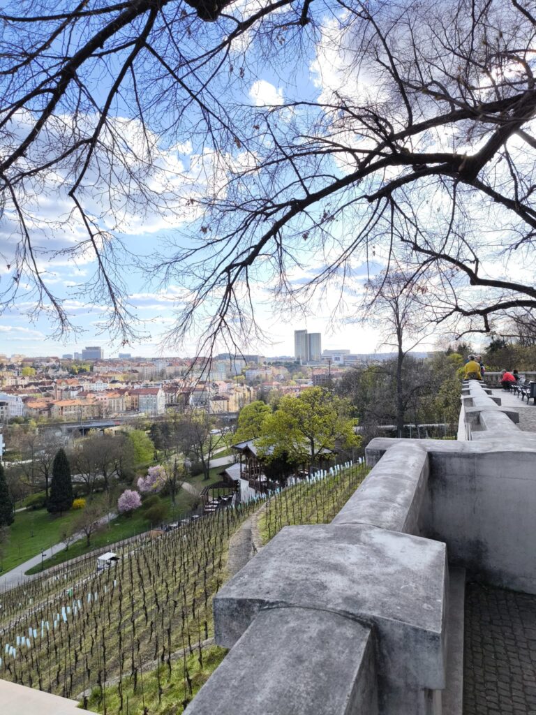Lasrge park with a view in Prague
