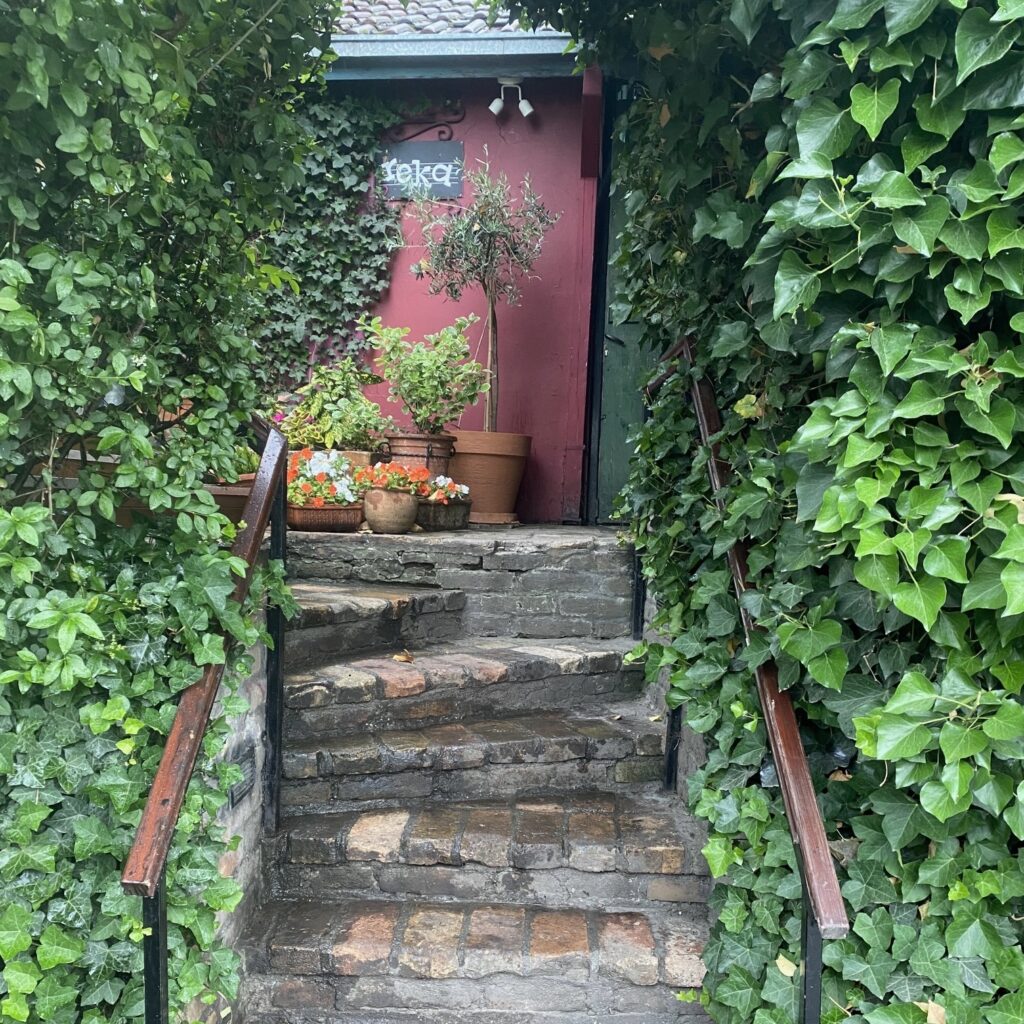 Green entrance to Restoran Reka in Belgrade, surrounded by ivy, stone steps, and potted plants.